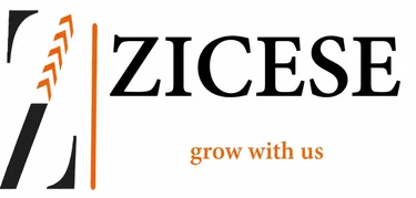 ZICESE logo